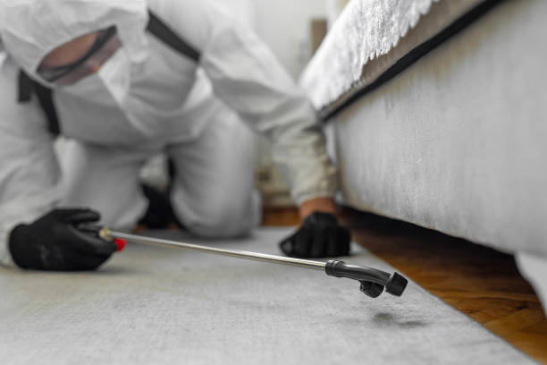 Professional Termite Control technician working in Ogden, IA