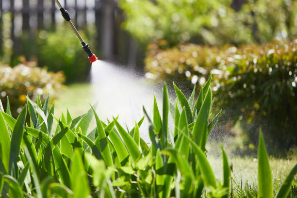24/7 Emergency Termite Control experts in Ogden, IA